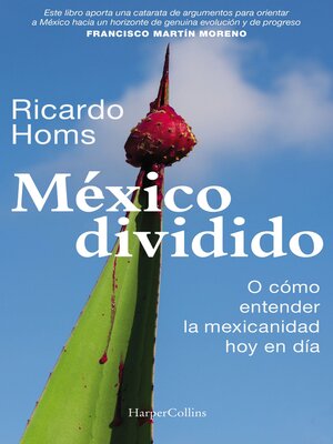 cover image of México dividido